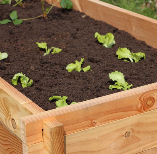 Erhöhter Pflanzenkübel – Bild 2