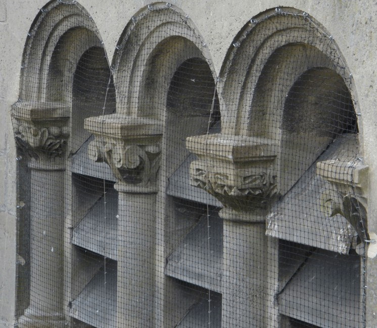 Vogelschutznetz – Bild 4