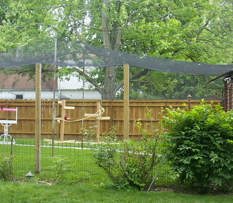 Vogelschutznetz – Bild 3