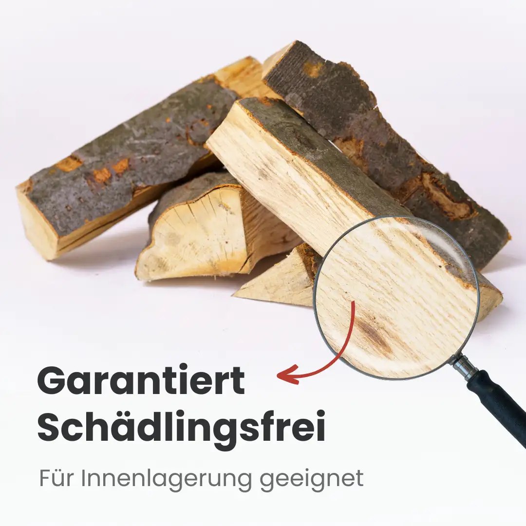 Kaminholz Erle kammergetrocknet – Bild 6