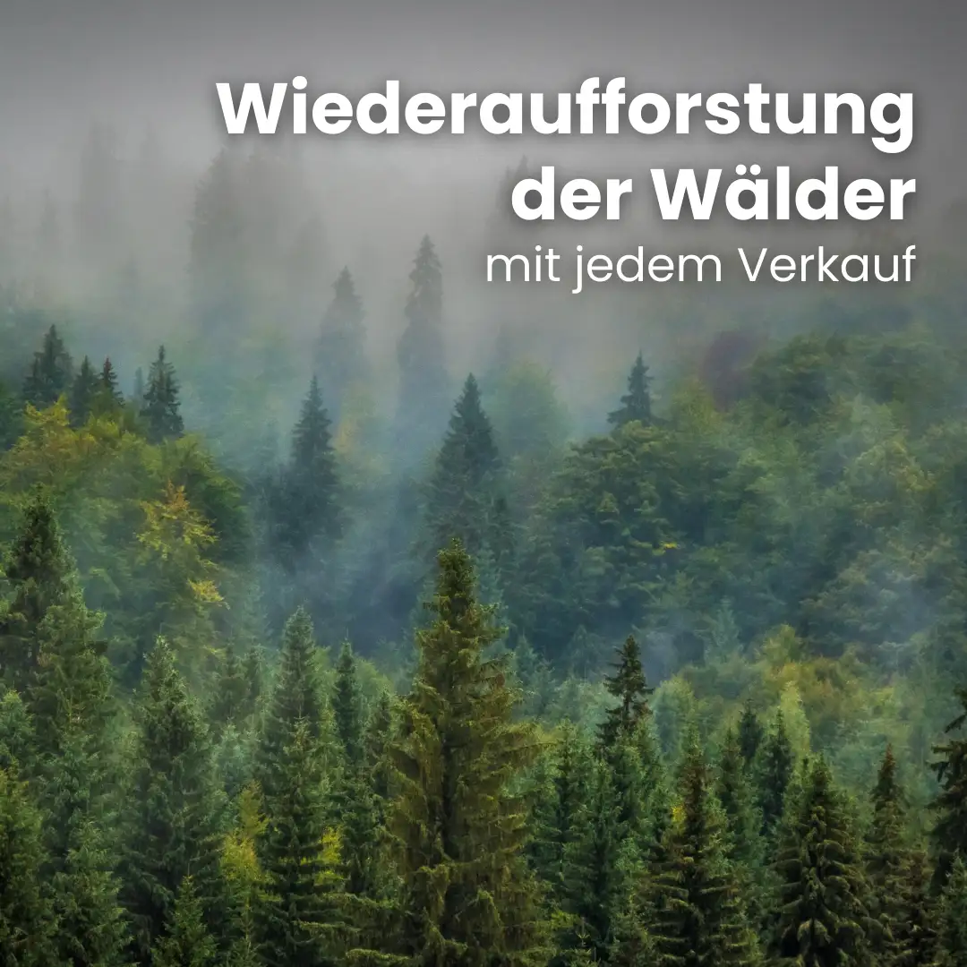 Kaminholz Birke waldfrisch – Bild 7